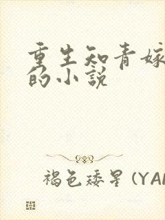 重生知青嫁糙汉的小说封面