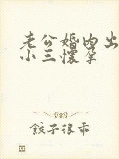 老公婚内出轨至小三怀孕