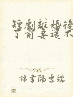 短剧离婚后我成了前妻遥不可及