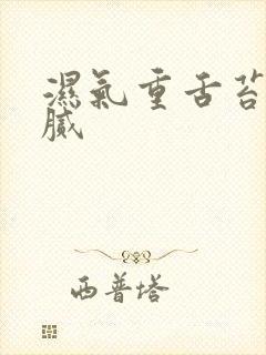 湿气重舌苔白厚腻