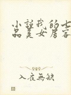 小说我的七个极品美女房客txt下载
