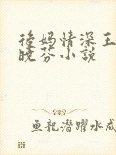 后妈情深王磊杨晓芬小说