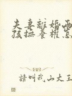 夫妻离婚两个小孩抚养权怎么判