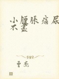 小腹胀痛尿频尿不尽