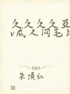 久久久久亚洲av成人网毛片