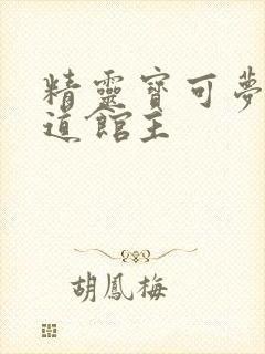 精灵宝可梦剑盾道馆主