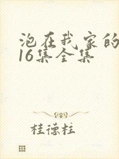 泡在我家的辣妹16集全集