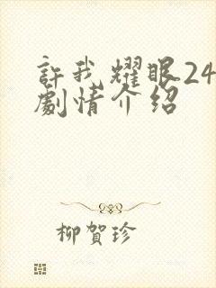 许我耀眼24集剧情介绍