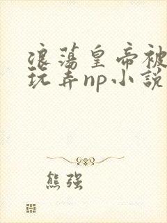 浪荡皇帝被多人玩弄np小说封面