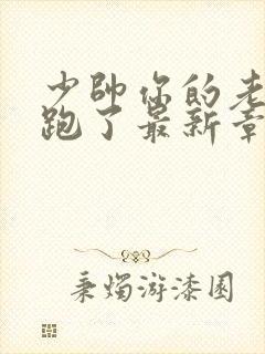 少帅你的老婆又跑了最新章节免费阅读