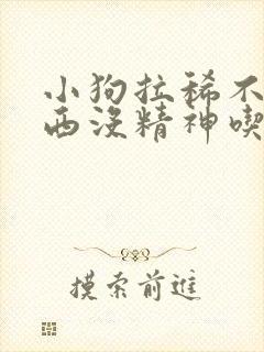 小狗拉稀不吃东西没精神吃什么药