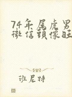 74年属虎男的微信头像旺财 招财