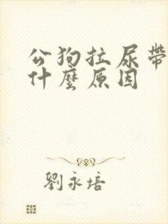 公狗拉尿带血是什么原因