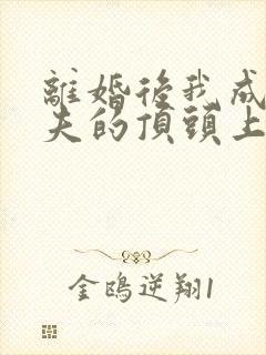 离婚后我成了前夫的顶头上司