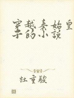 穿越秦始皇第九子的小说