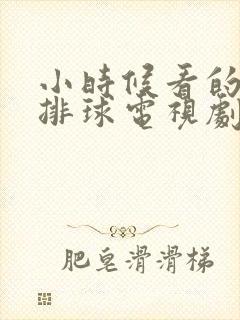 小时候看的日本排球电视剧封面