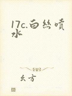 17c.白丝喷水