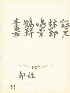 李鹤鸣林钰小说最新章节免费阅读