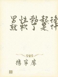 男性勃起后很快就软了是什么原因