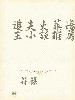 追夫火葬场双男主小说推荐封面