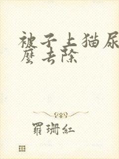 被子上猫尿味怎么去除封面