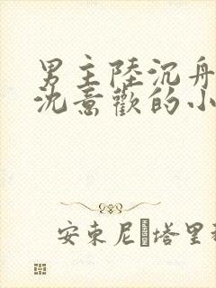 男主陆沉舟女主沈意欢的小说