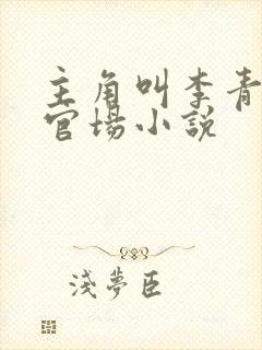 主角叫李青云的官场小说