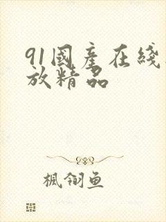 91国产在线播放精品
