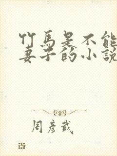 竹马是不能成为妻子的小说免费阅读