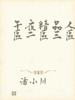 午夜精品人妻一区二区三区