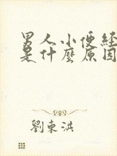 男人小便经常黄是什么原因