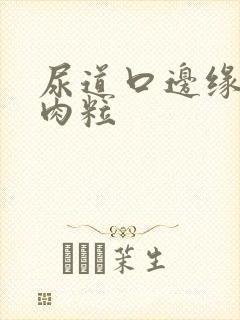 尿道口边缘长小肉粒