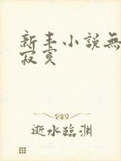 新丰小说无敌真寂寞