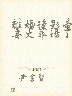 离婚后影帝他追妻火葬场了