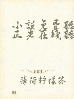 小说免费听书李正光在线听