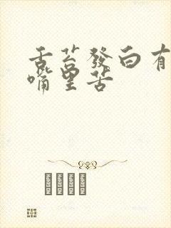 舌苔发白有齿痕嘴里苦