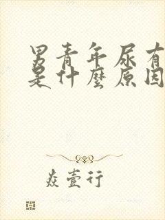 男青年尿有泡泡是什么原因