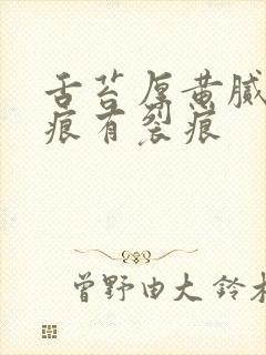 舌苔厚黄腻有齿痕有裂痕