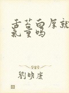 舌苔白厚就是湿气重吗封面