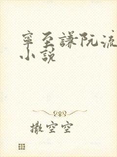 宁至谦阮流筝的小说