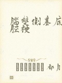 脑双侧基底节区腔梗