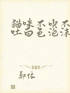 猫咪不吃不喝呕吐白色泡沫精神不好