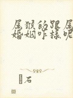 属猴的跟属龙的婚姻咋样呢封面