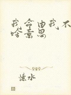 我命由我不由天啥意思