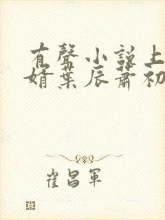 有声小说上门龙婿叶辰萧初然封面