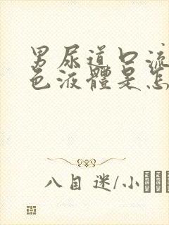 男尿道口流出黄色液体是怎么回事封面