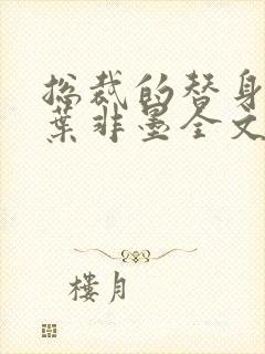 总裁的替身前妻叶非墨全文