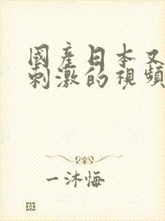 国产日本又黄又刺激的视频