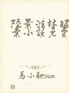 陆景淮林昭沈千棠小说免费阅读最新章节