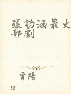 张钧涵最火的三部剧